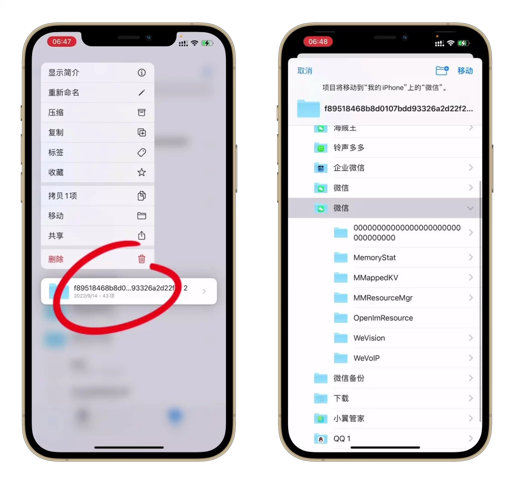 图片[4]-苹果定制多开微信聊天记录转移详细教学-极速云分享